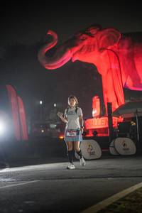 BIB: 
                            <button type="button" onclick="openModal(26531063)" class="btn btn-primary btn-sm float-right btn-popup" data-toggle="modal" data-target=".modal-high-quality">
                        <i class="fas fa-shopping-cart"></i> Add to Cart
                    </button>
                                            <button type="button" onclick="isThisMe(26531063, true)" class="btn btn-success btn-sm float-right btn-popup btn-isme hidden" data-toggle="tooltip" data-placement="bottom" title="นี่คือรูปของคุณใช่ไหม คลิกที่นี่เพื่อเอาเข้าอัลบั้ม">
                        <i class="fas fa-plus"></i> Add to album
                    </button>
                    <button type="button" onclick="isThisMe(26531063, false)" class="btn btn-warning btn-sm float-right btn-popup btn-isnotme hidden">
                        <i class="fas fa-ban"></i> Remove from album
                    </button>